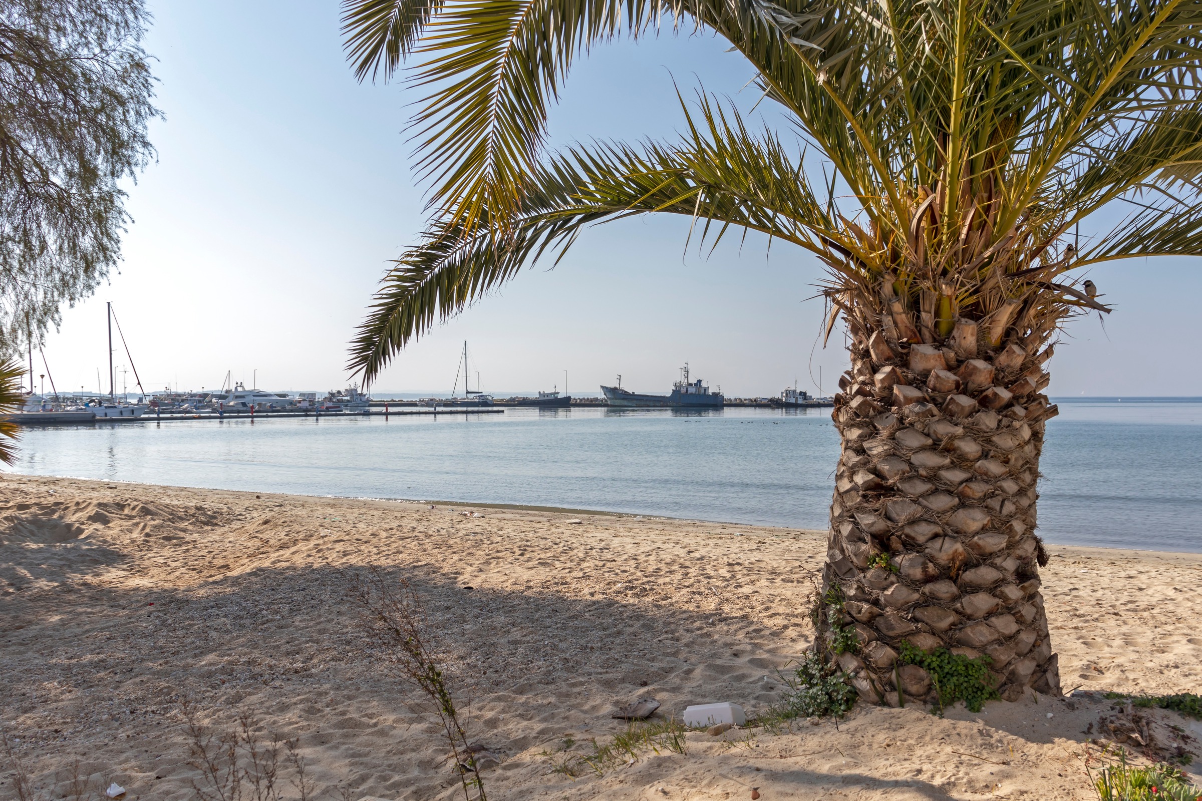 Strand von Nea Moudania photo